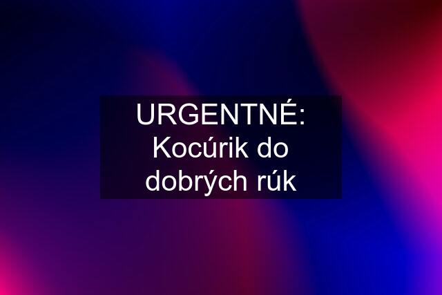 URGENTNÉ: Kocúrik do dobrých rúk