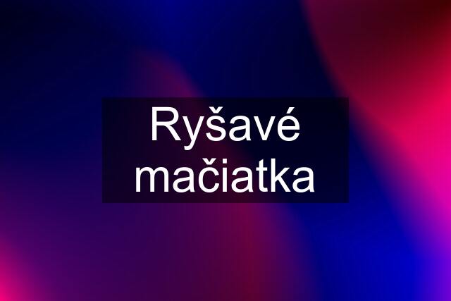 Ryšavé mačiatka