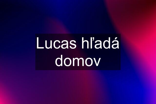 Lucas hľadá domov