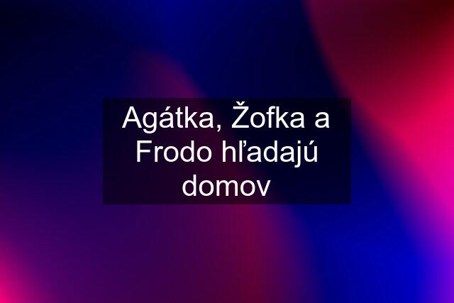 Agátka, Žofka a Frodo hľadajú domov