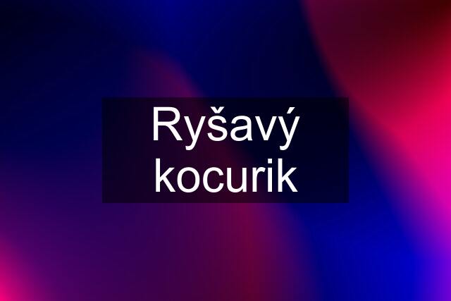 Ryšavý kocurik