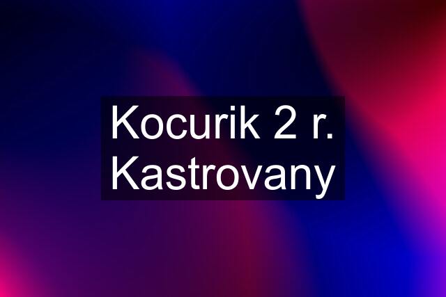 Kocurik 2 r. Kastrovany