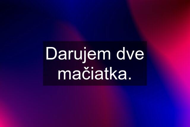 Darujem dve mačiatka.