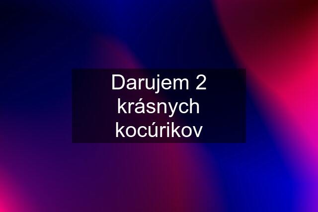 Darujem 2 krásnych kocúrikov