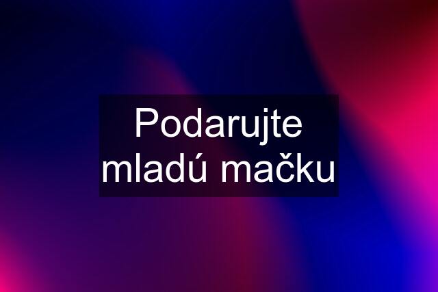 Podarujte mladú mačku