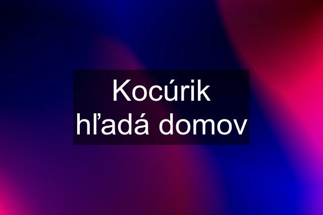 Kocúrik hľadá domov