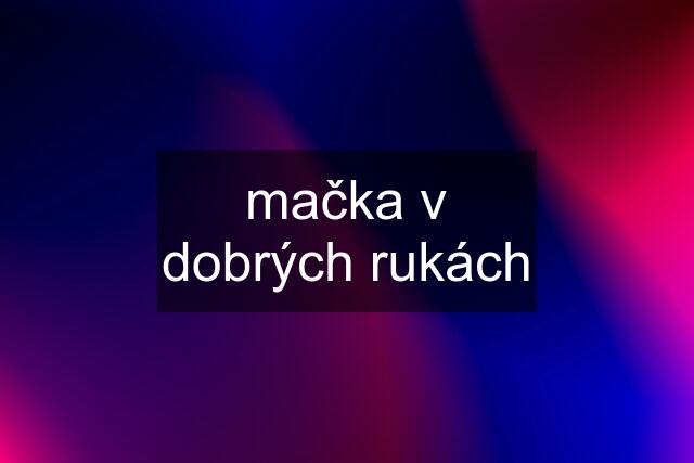 mačka v dobrých rukách