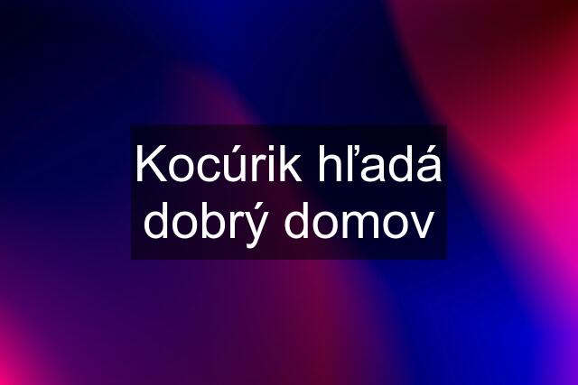 Kocúrik hľadá dobrý domov