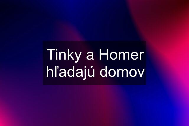 Tinky a Homer hľadajú domov