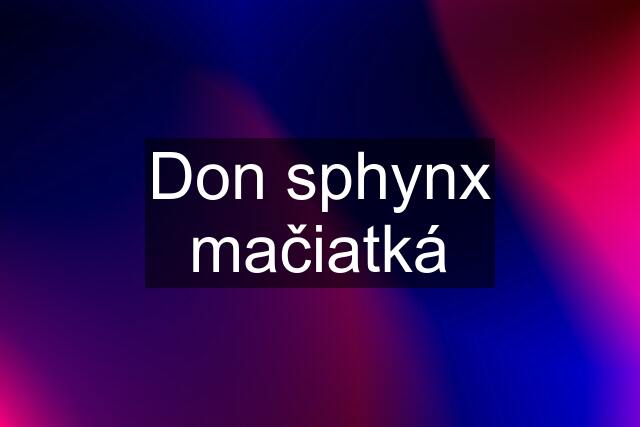 Don sphynx mačiatká