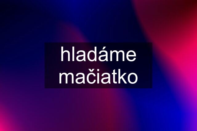 hladáme mačiatko