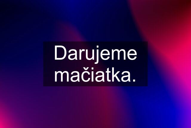 Darujeme mačiatka.