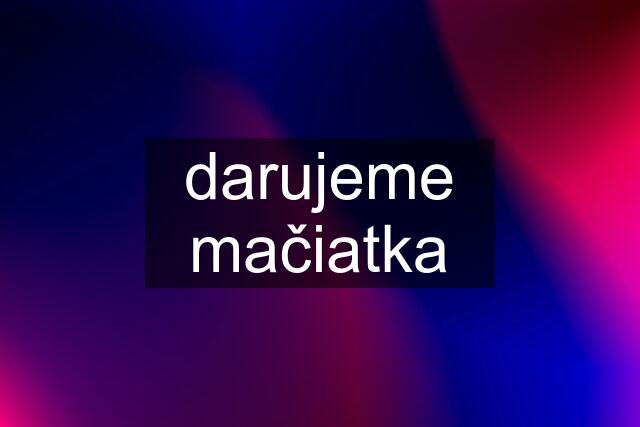 darujeme mačiatka