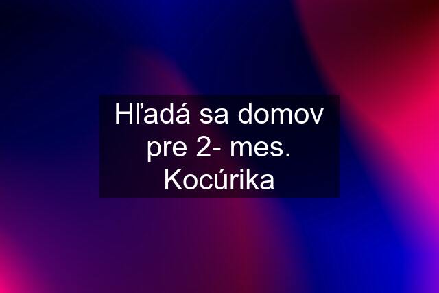 Hľadá sa domov pre 2- mes. Kocúrika