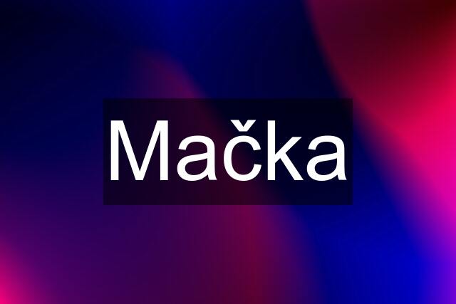 Mačka