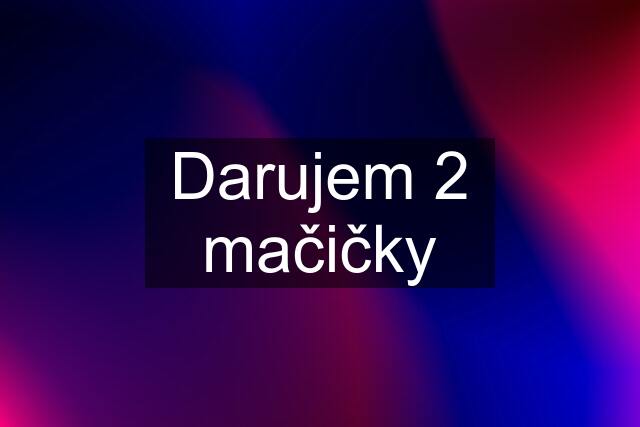 Darujem 2 mačičky