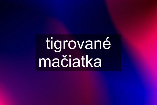 tigrované mačiatka ❤️