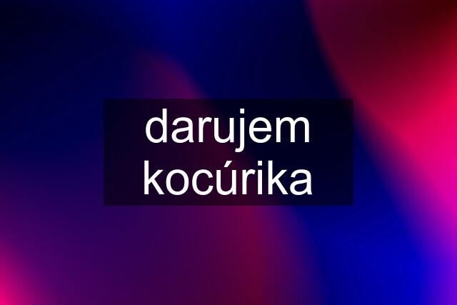 darujem kocúrika