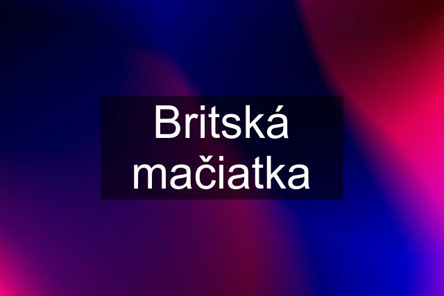 Britská mačiatka