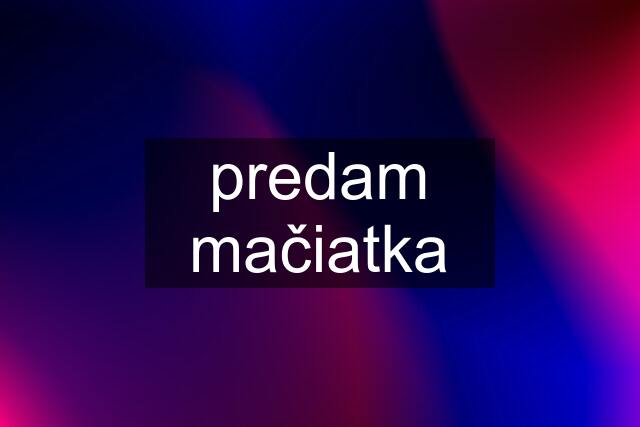 predam mačiatka