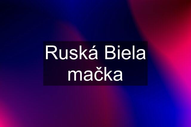 Ruská Biela mačka