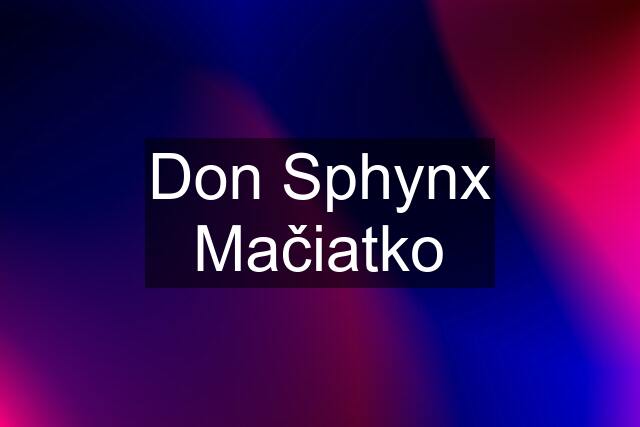 Don Sphynx Mačiatko