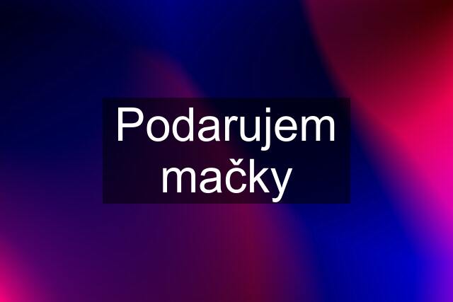 Podarujem mačky