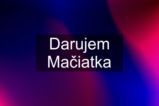 Darujem Mačiatka