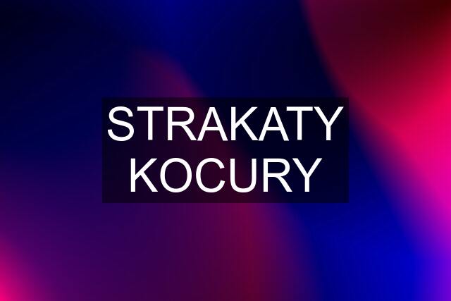 STRAKATY KOCURY