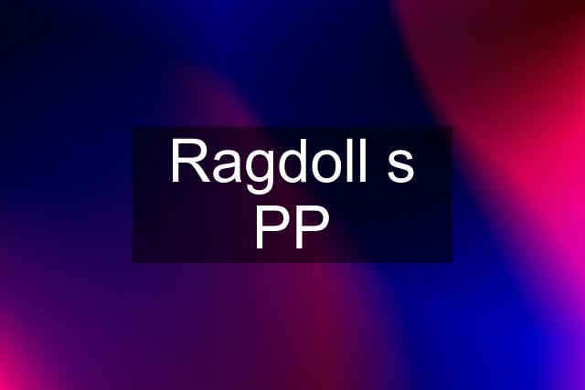 Ragdoll s PP