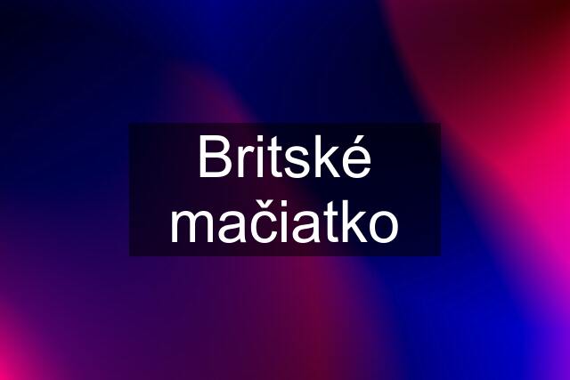 Britské mačiatko