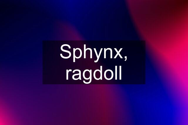 Sphynx, ragdoll