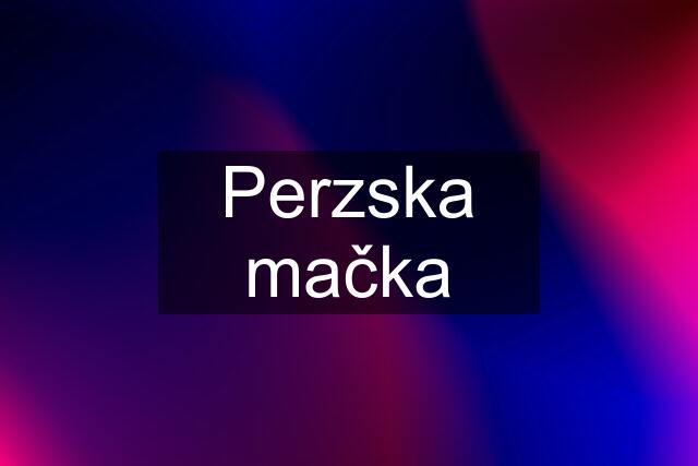 Perzska mačka