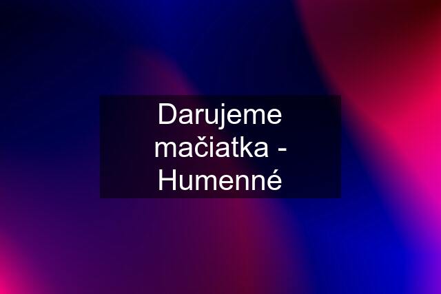 Darujeme mačiatka - Humenné