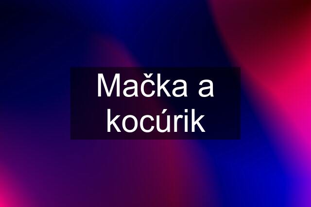 Mačka a kocúrik