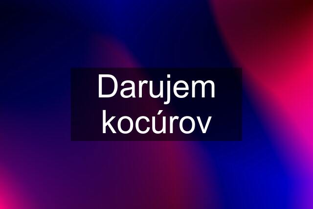 Darujem kocúrov