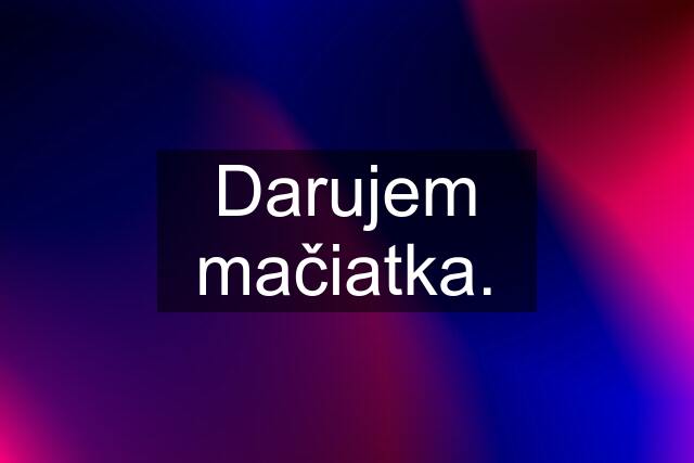 Darujem mačiatka.