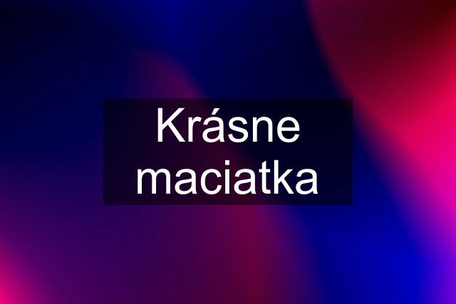 Krásne maciatka