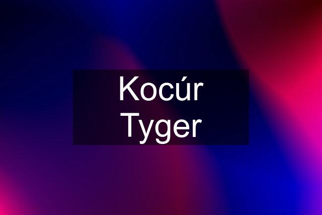 Kocúr Tyger