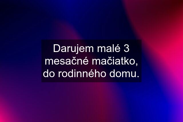 Darujem malé 3 mesačné mačiatko, do rodinného domu.