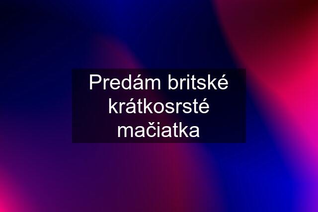 Predám britské krátkosrsté mačiatka