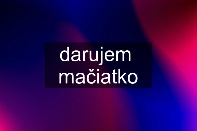 darujem  mačiatko