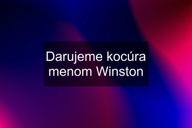 Darujeme kocúra menom Winston