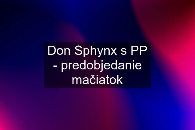 Don Sphynx s PP - predobjedanie mačiatok