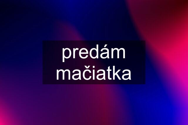 predám mačiatka