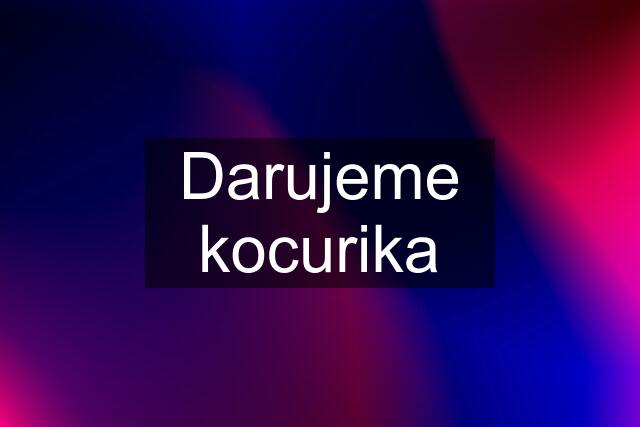 Darujeme kocurika