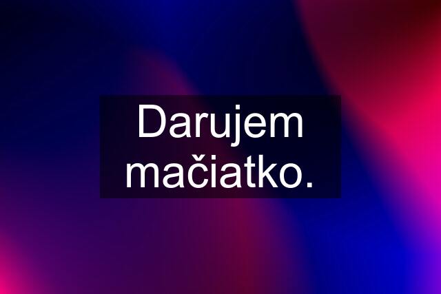 Darujem mačiatko.