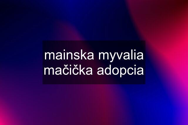 mainska myvalia mačička adopcia