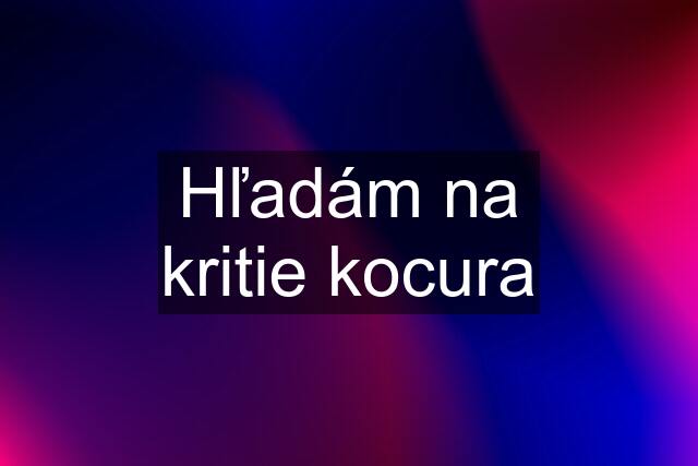 Hľadám na kritie kocura