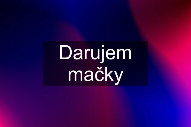 Darujem mačky